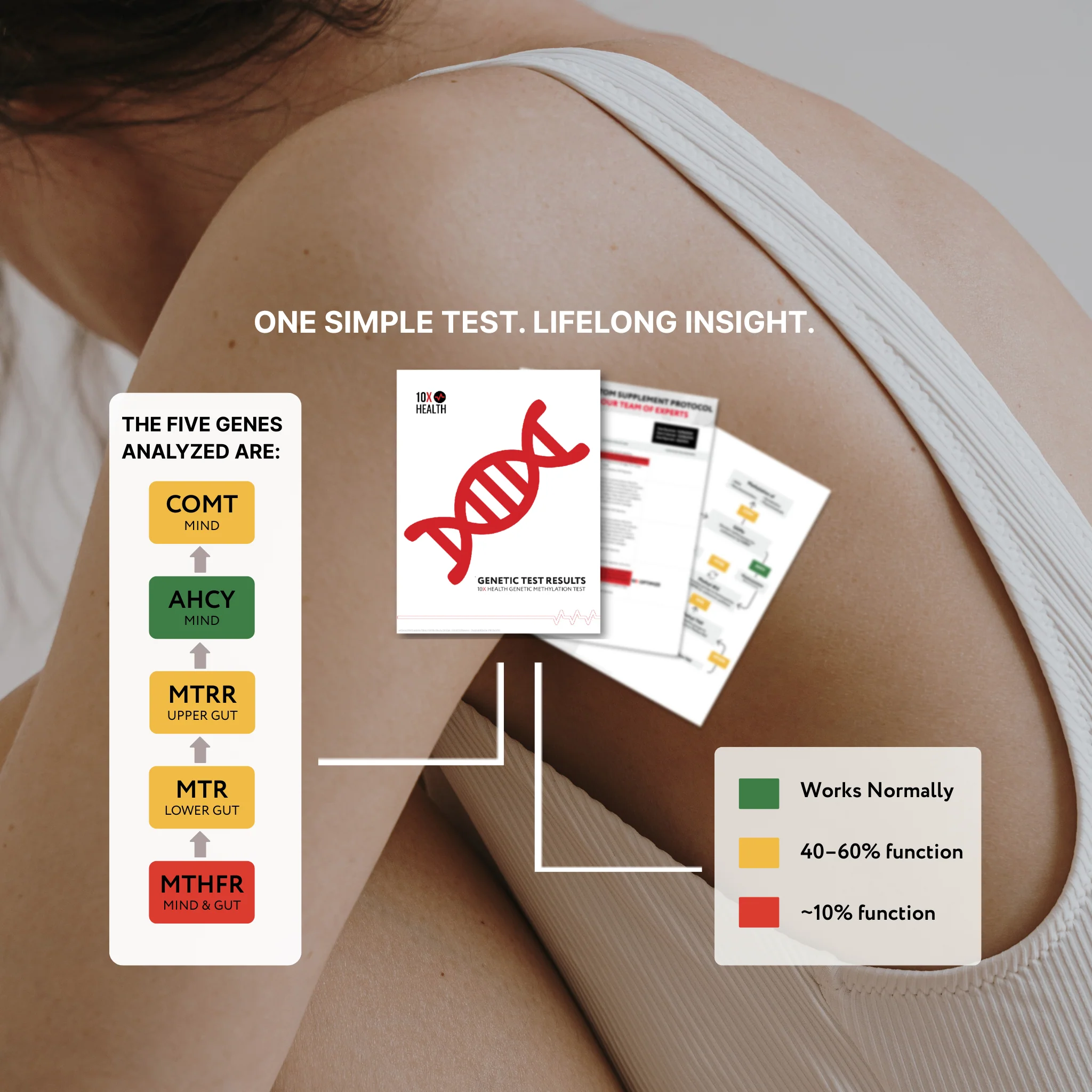 10X Health Genetic Test- In Person - Image 2