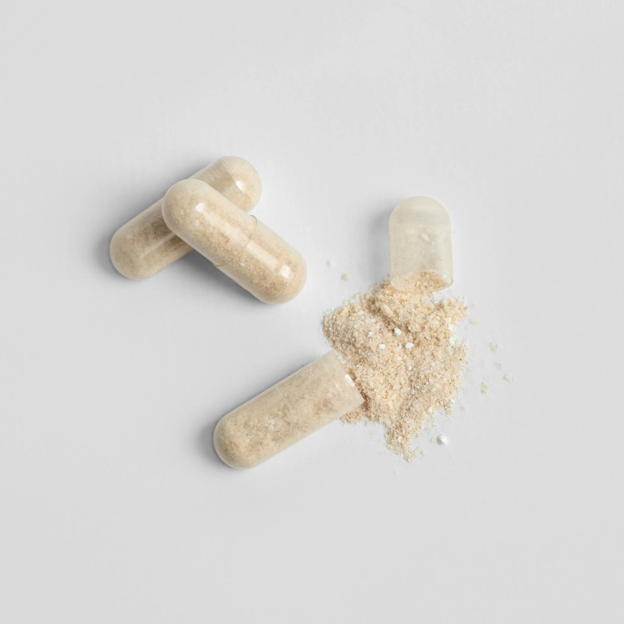 10X Neuro Medulla - Image 4